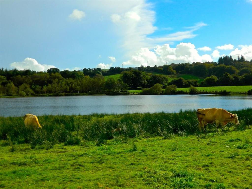 Lake House Bed and Breakfast Dunmanway Esterno foto