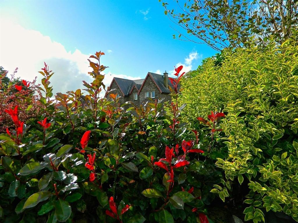 Lake House Bed and Breakfast Dunmanway Esterno foto