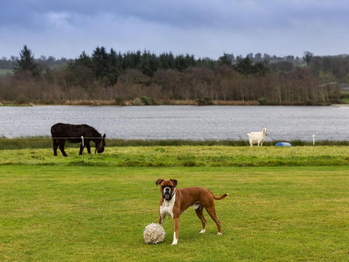 Lake House Bed and Breakfast Dunmanway Esterno foto