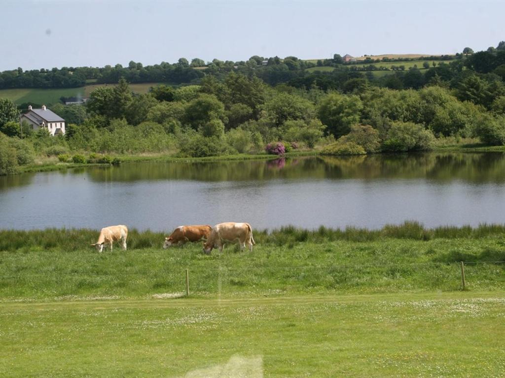 Lake House Bed and Breakfast Dunmanway Esterno foto