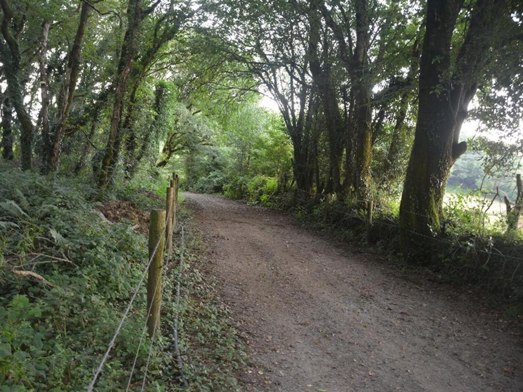 Lake House Dunmanway Esterno foto