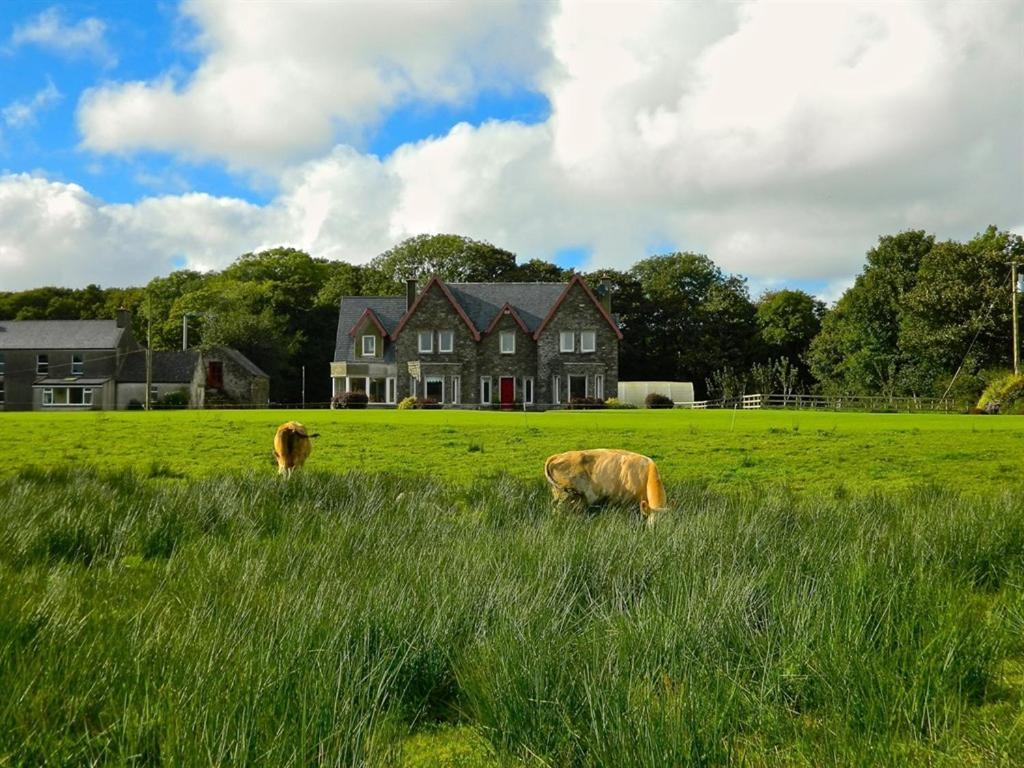 Lake House Bed and Breakfast Dunmanway Esterno foto