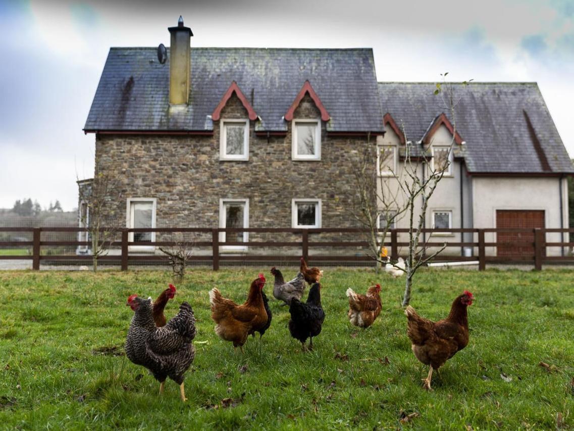 Lake House Dunmanway Esterno foto