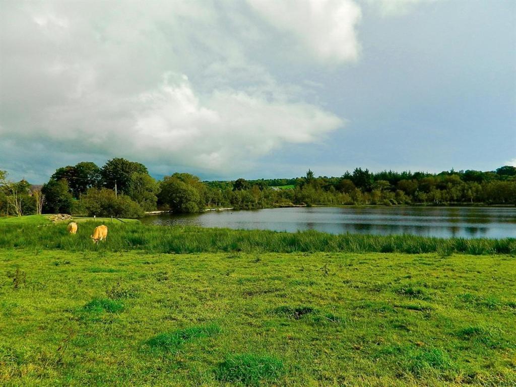 Lake House Bed and Breakfast Dunmanway Esterno foto